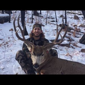 Meet your Posher, David